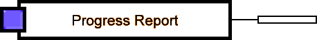 Progress Report